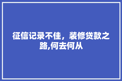 征信记录不佳，装修贷款之路,何去何从