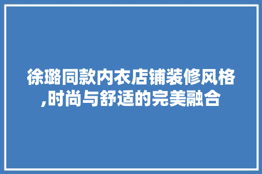徐璐同款内衣店铺装修风格,时尚与舒适的完美融合，徐璐内衣品牌。