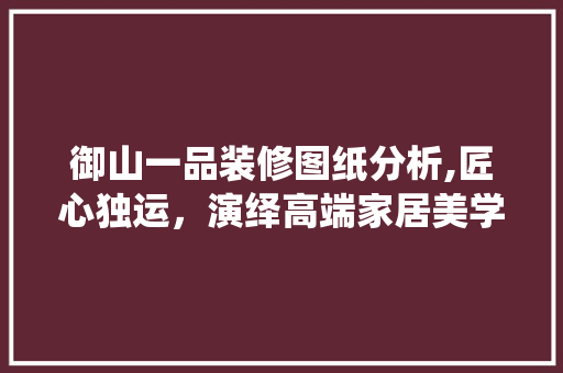 御山一品装修图纸分析,匠心独运，演绎高端家居美学
