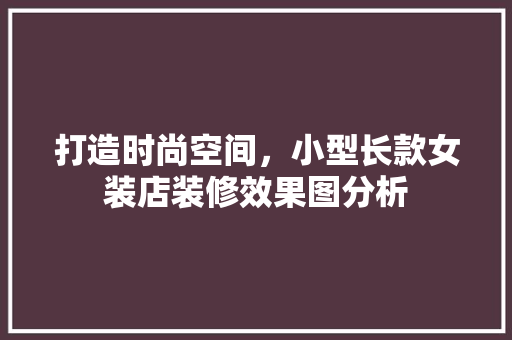 打造时尚空间，小型长款女装店装修效果图分析