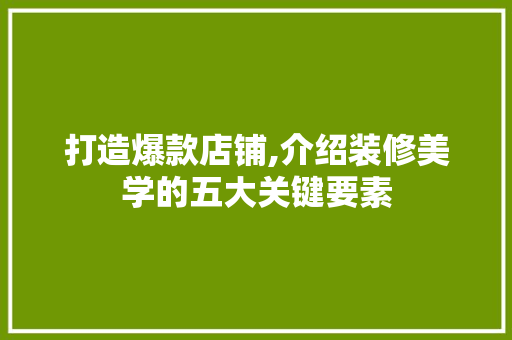 打造爆款店铺,介绍装修美学的五大关键要素