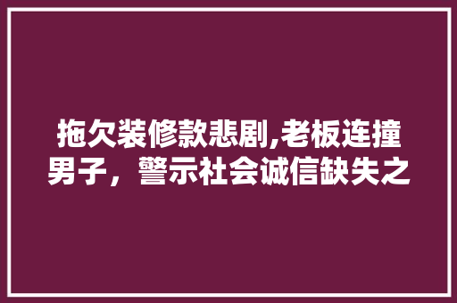 拖欠装修款悲剧,老板连撞男子，警示社会诚信缺失之痛