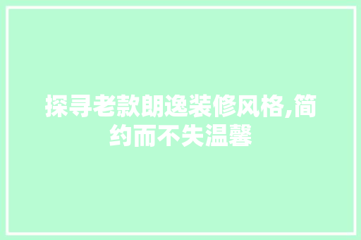 探寻老款朗逸装修风格,简约而不失温馨