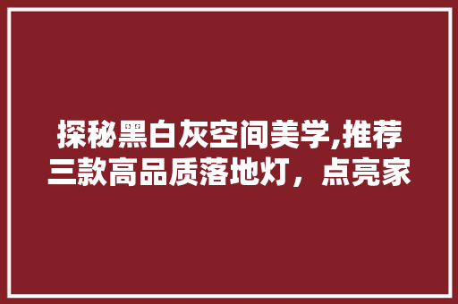 探秘黑白灰空间美学,推荐三款高品质落地灯，点亮家居艺术之光