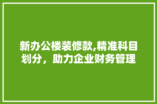 新办公楼装修款,精准科目划分，助力企业财务管理