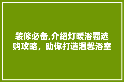 装修必备,介绍灯暖浴霸选购攻略，助你打造温馨浴室空间 装修必备,介绍灯暖浴霸选购攻略，助你打造温馨浴室空间 家居装饰