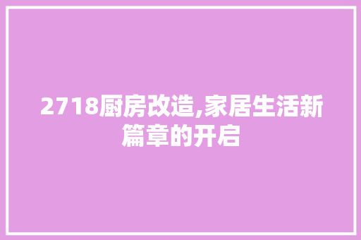 2718厨房改造,家居生活新篇章的开启 家居设计