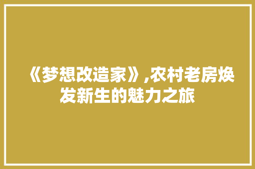 《梦想改造家》,农村老房焕发新生的魅力之旅 买房须知