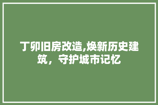 丁卯旧房改造,焕新历史建筑，守护城市记忆 买房须知