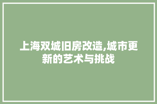 上海双城旧房改造,城市更新的艺术与挑战