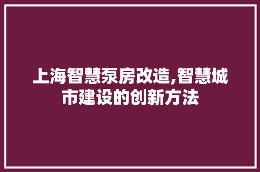上海智慧泵房改造,智慧城市建设的创新方法 家居设计