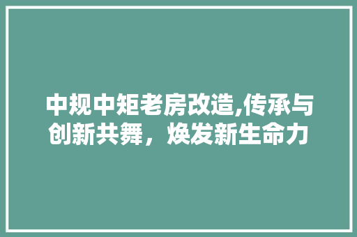 中规中矩老房改造,传承与创新共舞，焕发新生命力