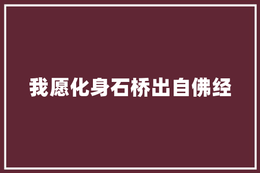 临桂旧房改造,焕发新生的城市记忆