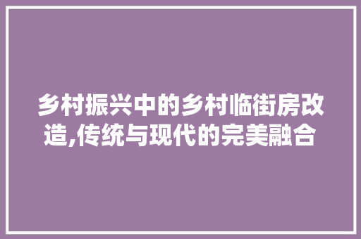 乡村振兴中的乡村临街房改造,传统与现代的完美融合