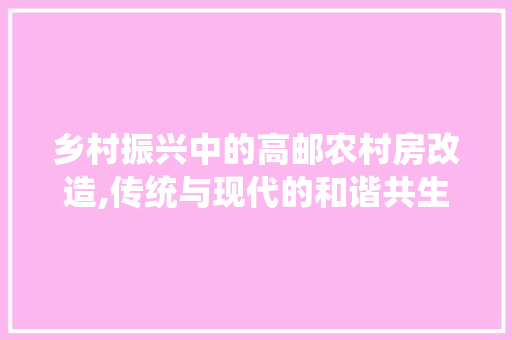 乡村振兴中的高邮农村房改造,传统与现代的和谐共生