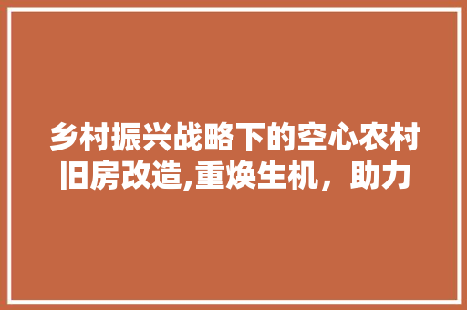 乡村振兴战略下的空心农村旧房改造,重焕生机，助力乡村振兴