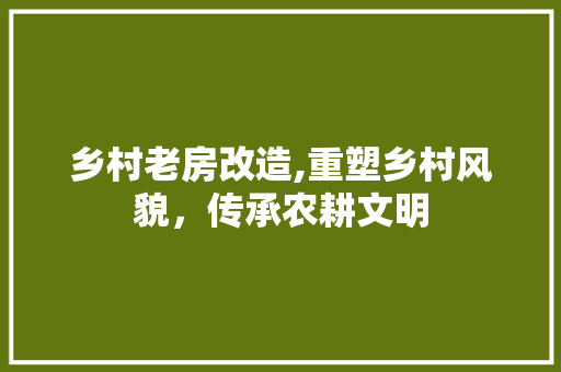 乡村老房改造,重塑乡村风貌，传承农耕文明