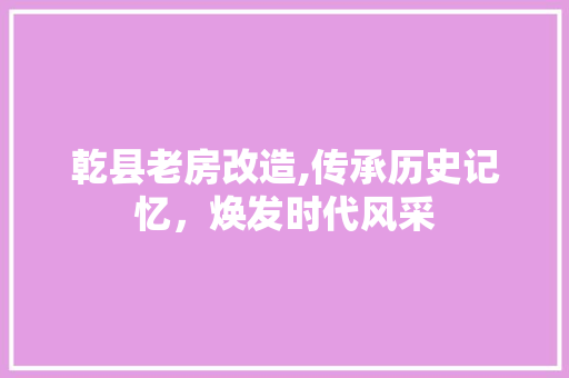 乾县老房改造,传承历史记忆，焕发时代风采