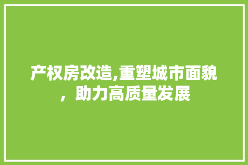 产权房改造,重塑城市面貌，助力高质量发展