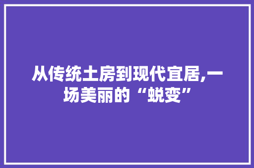 从传统土房到现代宜居,一场美丽的“蜕变”