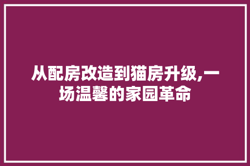从配房改造到猫房升级,一场温馨的家园革命