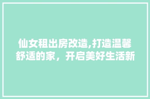 仙女租出房改造,打造温馨舒适的家，开启美好生活新篇章