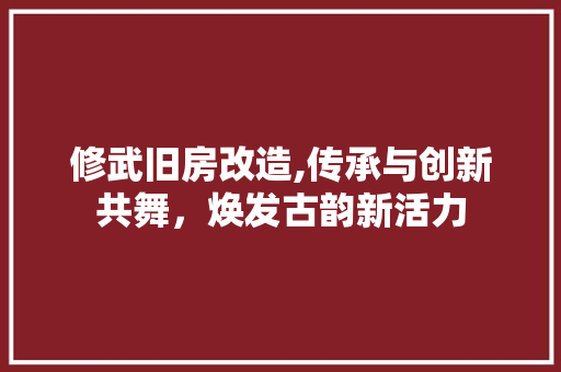 修武旧房改造,传承与创新共舞，焕发古韵新活力