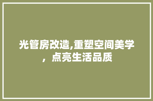 光管房改造,重塑空间美学，点亮生活品质