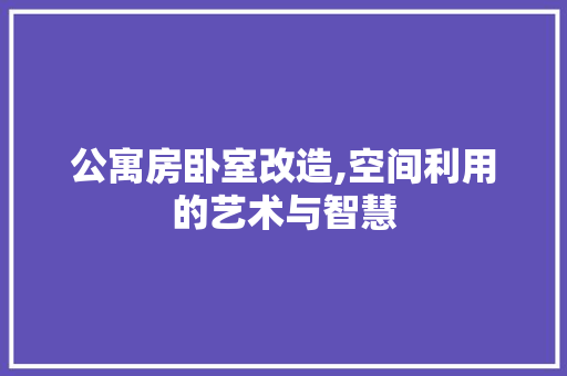 公寓房卧室改造,空间利用的艺术与智慧，公寓卧室装修。