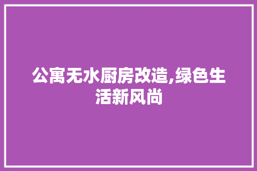 公寓无水厨房改造,绿色生活新风尚