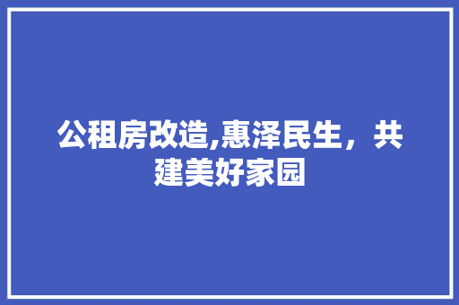 公租房改造,惠泽民生，共建美好家园