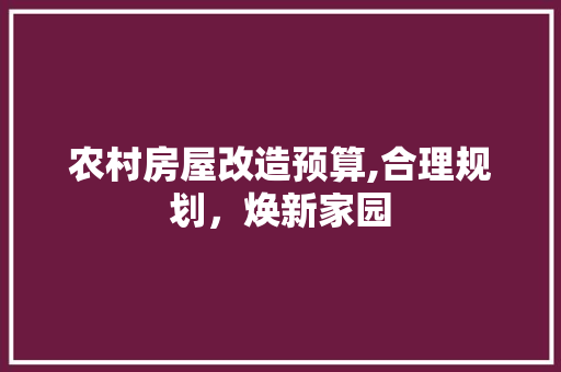 农村房屋改造预算,合理规划，焕新家园