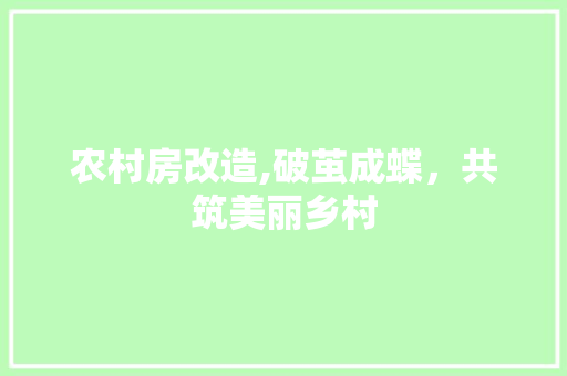 农村房改造,破茧成蝶，共筑美丽乡村