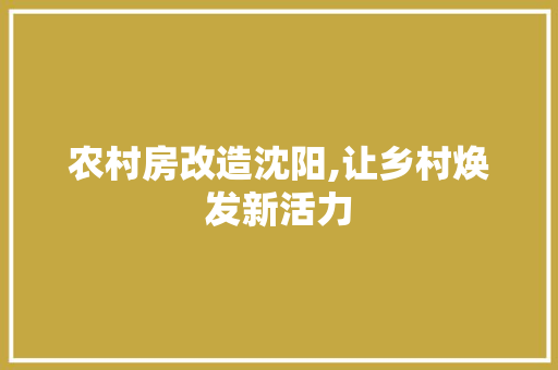 农村房改造沈阳,让乡村焕发新活力