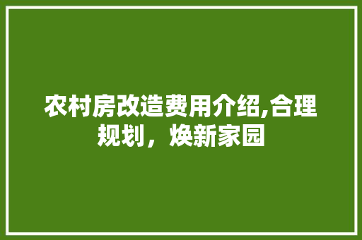 农村房改造费用介绍,合理规划，焕新家园