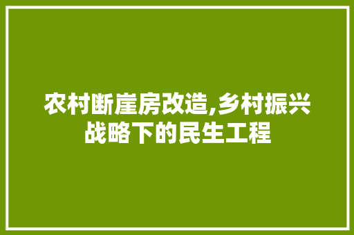 农村断崖房改造,乡村振兴战略下的民生工程