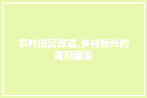 农村旧房改造,乡村振兴的美丽画卷