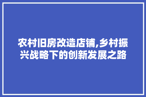 农村旧房改造店铺,乡村振兴战略下的创新发展之路