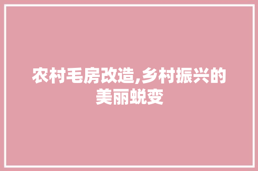 农村毛房改造,乡村振兴的美丽蜕变