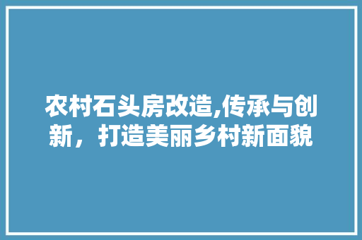 农村石头房改造,传承与创新，打造美丽乡村新面貌