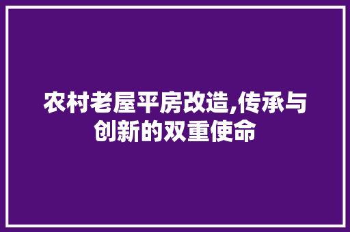 农村老屋平房改造,传承与创新的双重使命