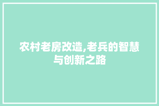 农村老房改造,老兵的智慧与创新之路