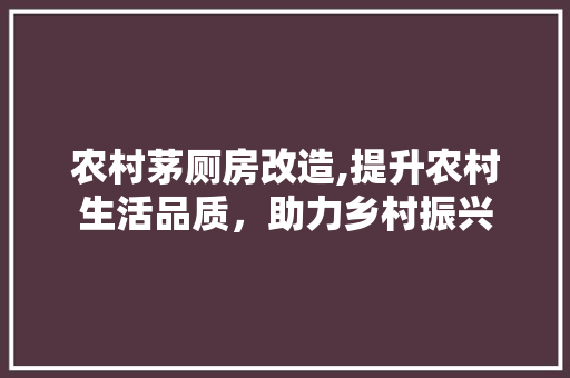 农村茅厕房改造,提升农村生活品质，助力乡村振兴