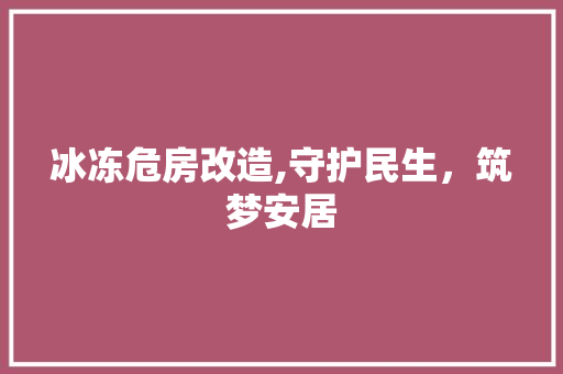 冰冻危房改造,守护民生，筑梦安居