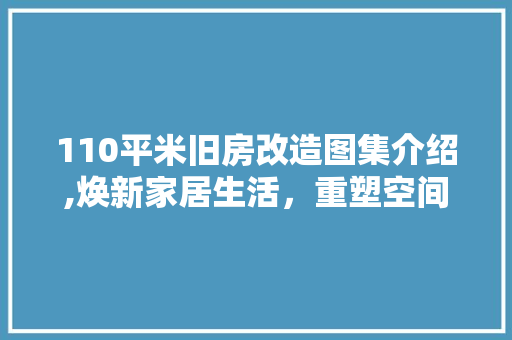 110平米旧房改造图集介绍,焕新家居生活，重塑空间美学