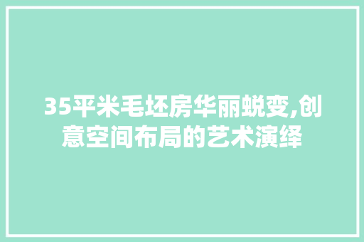 35平米毛坯房华丽蜕变,创意空间布局的艺术演绎，35平毛坯简装需要多少钱。