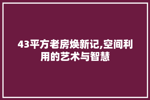 43平方老房焕新记,空间利用的艺术与智慧
