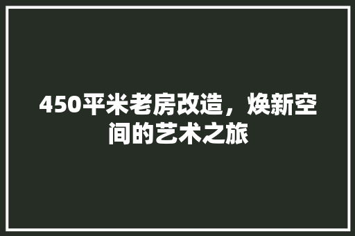 450平米老房改造，焕新空间的艺术之旅