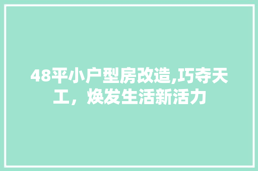 48平小户型房改造,巧夺天工，焕发生活新活力