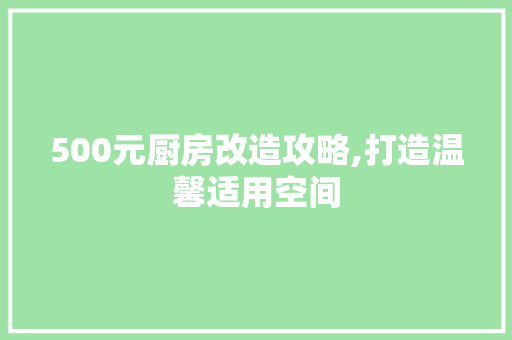 500元厨房改造攻略,打造温馨适用空间